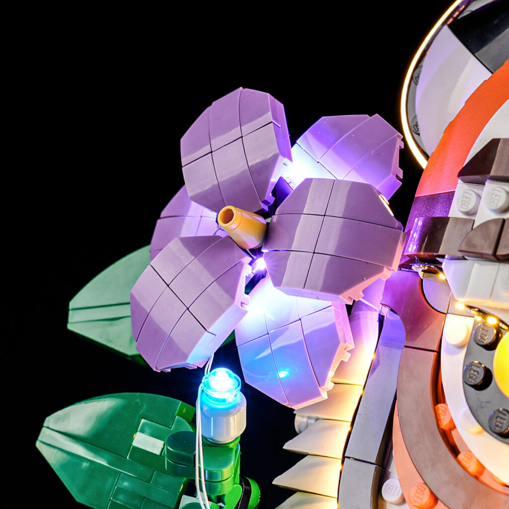 d59633bb714d795a5f2ee595cec53564