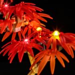 1e4fdb9230ea6d09f5f2b7a623c2467f