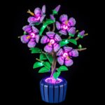 cd6bfa6d533d8c1935946a3207a48d2a