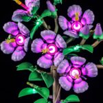 a87196212954b2c90a93b0cde4055a80