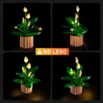 21f3da4be575894afd4f081e97fe2ee5