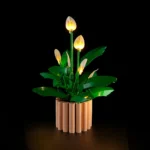 9236279df2dc983581a860f77a4a2490